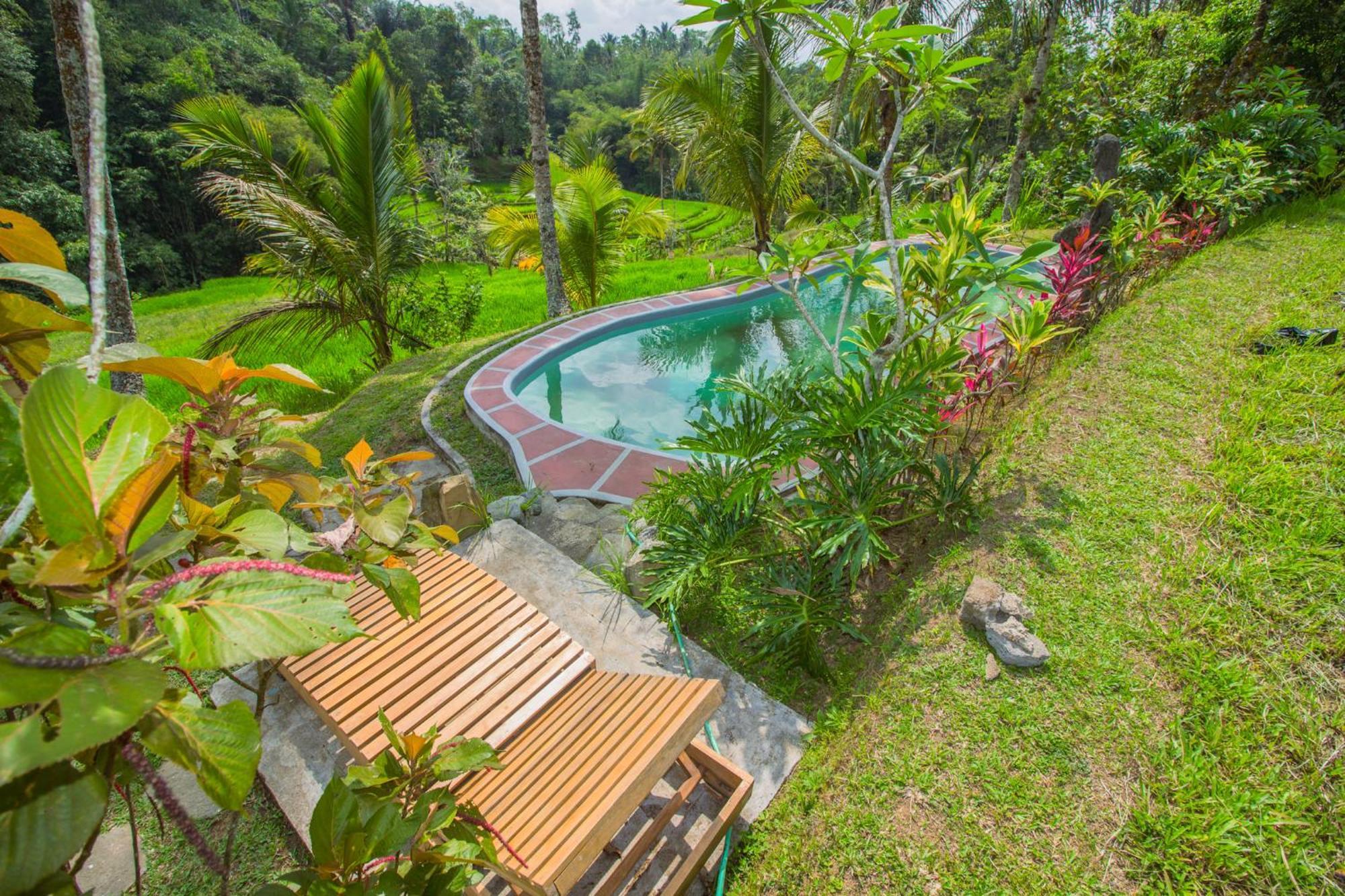 Pesona Bali Ecolodge By Agata Jatiluwih Ngoại thất bức ảnh