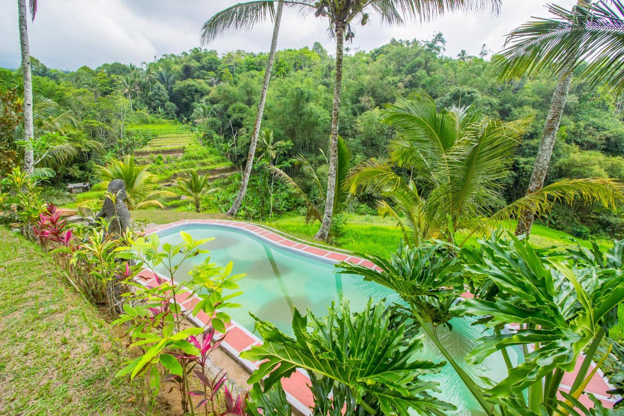 Pesona Bali Ecolodge By Agata Jatiluwih Ngoại thất bức ảnh