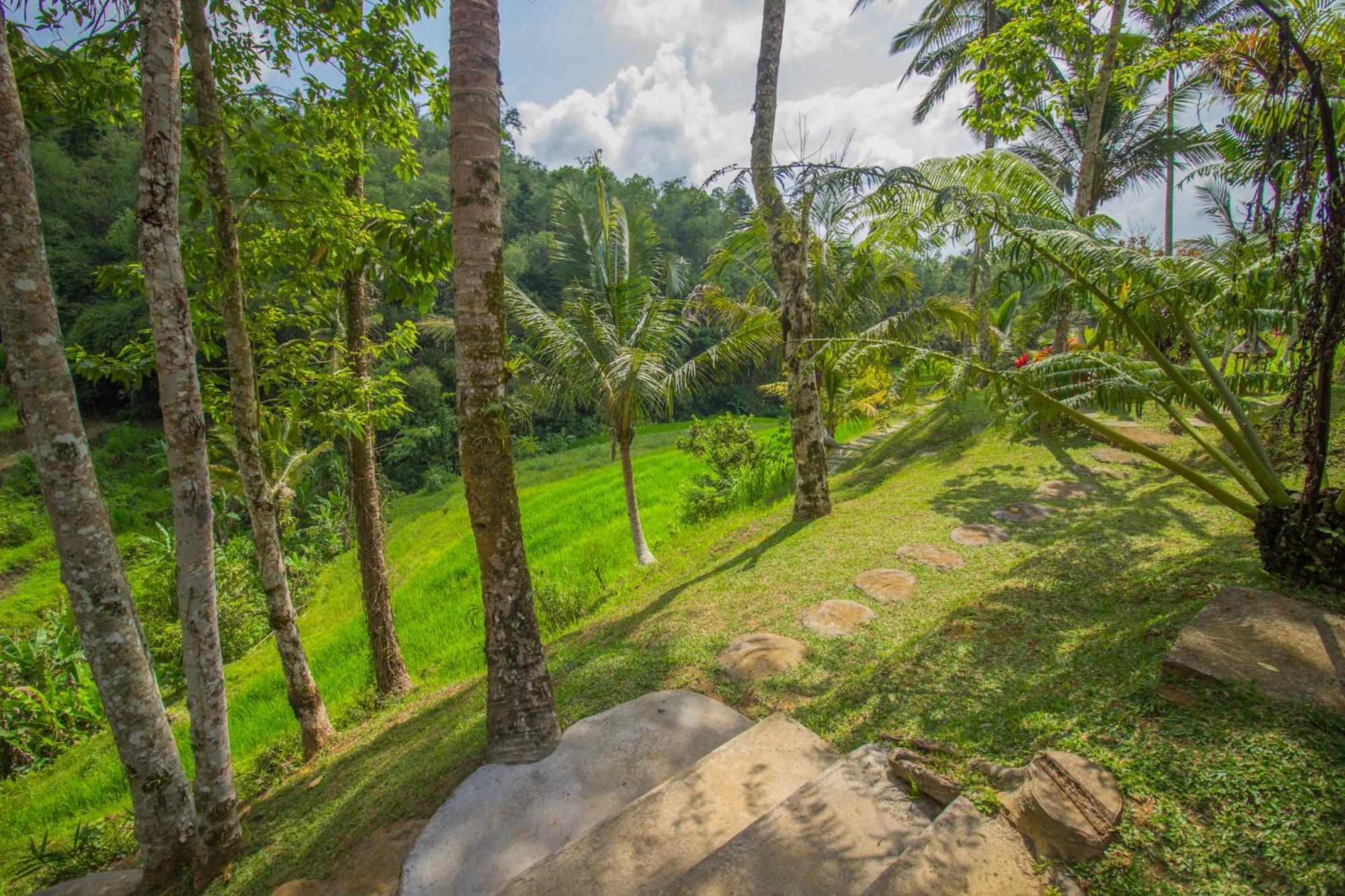 Pesona Bali Ecolodge By Agata Jatiluwih Ngoại thất bức ảnh
