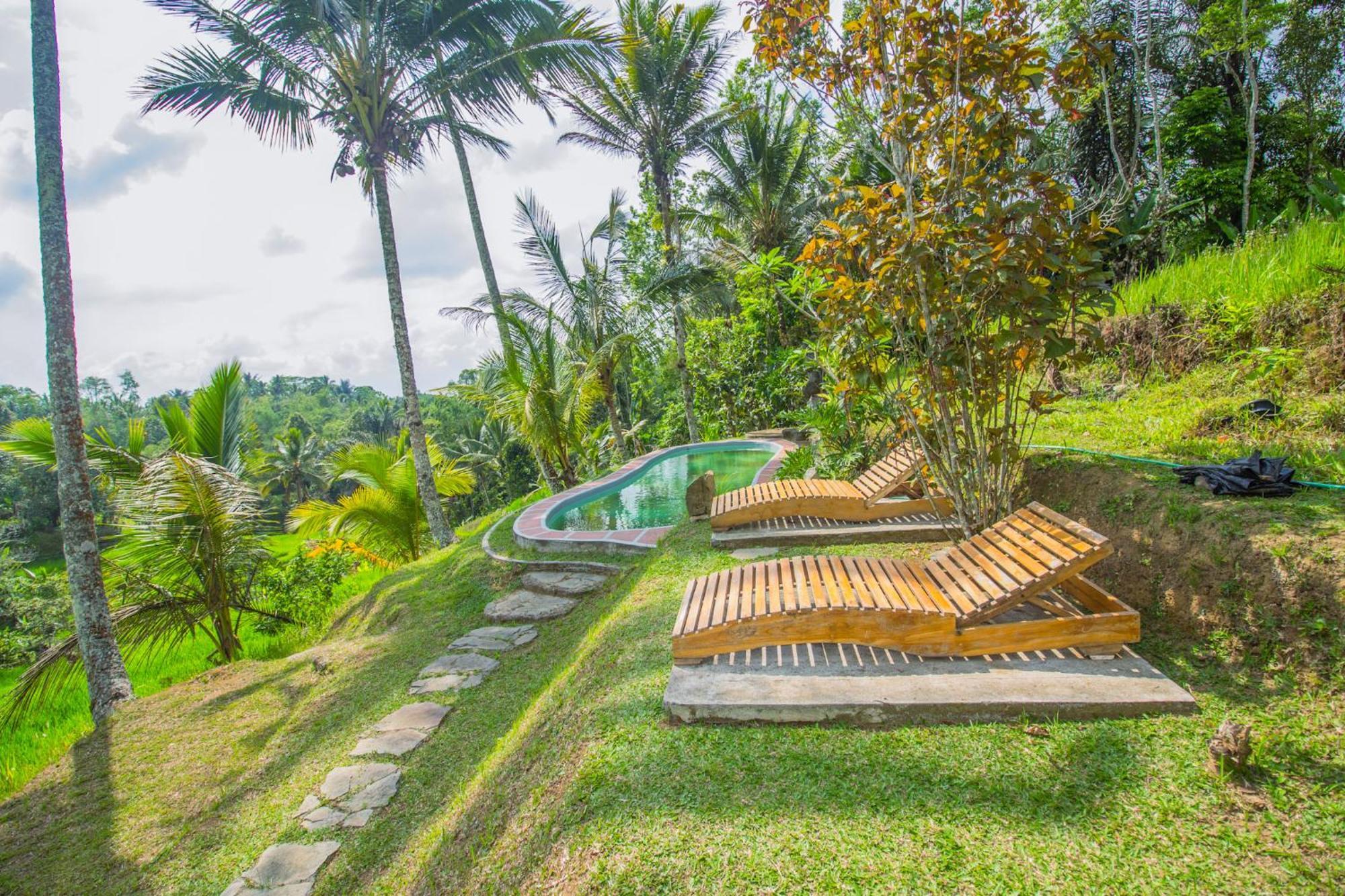 Pesona Bali Ecolodge By Agata Jatiluwih Ngoại thất bức ảnh