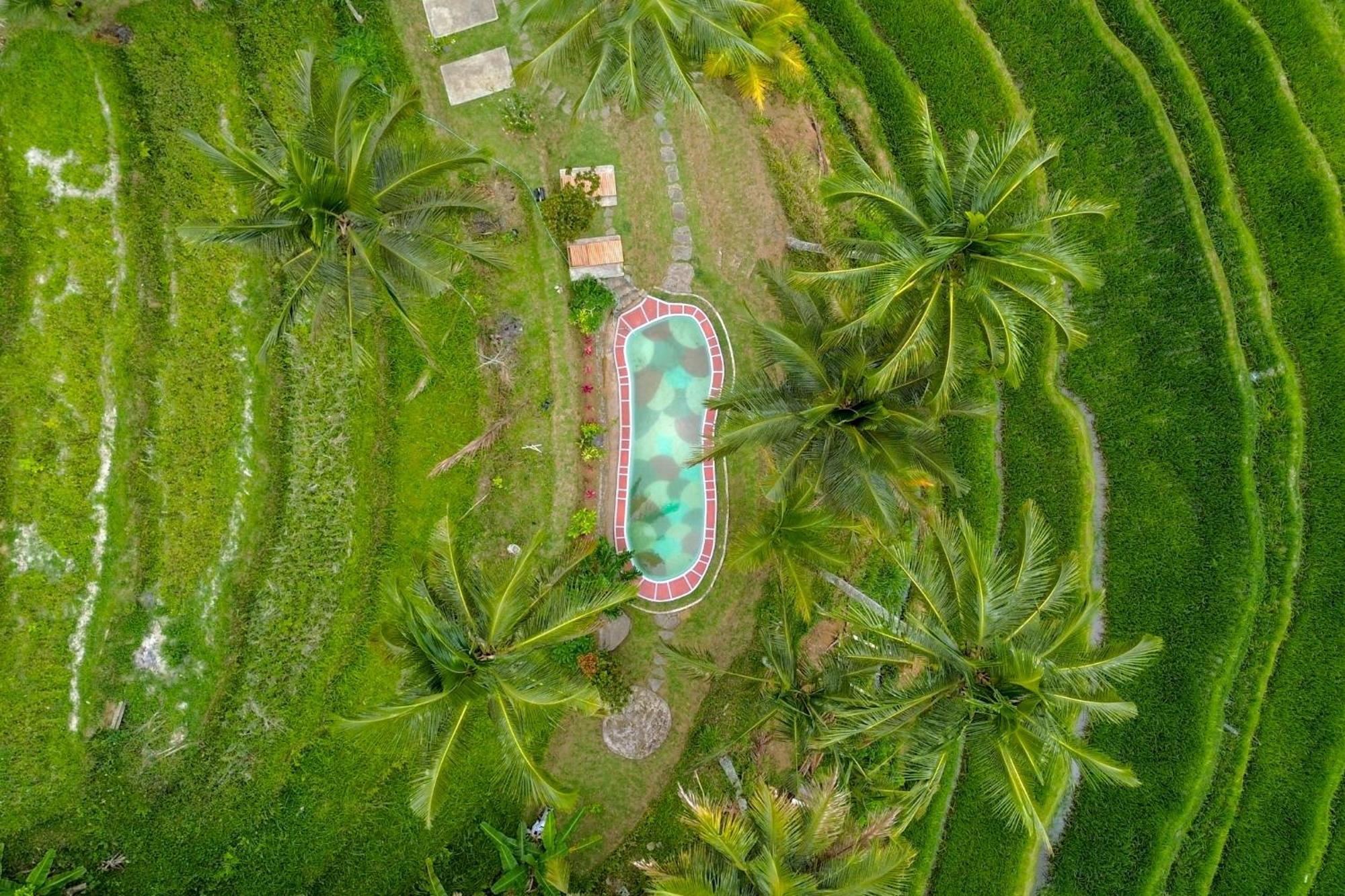 Pesona Bali Ecolodge By Agata Jatiluwih Ngoại thất bức ảnh