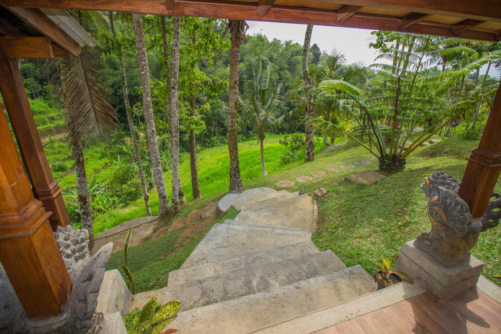 Pesona Bali Ecolodge By Agata Jatiluwih Ngoại thất bức ảnh