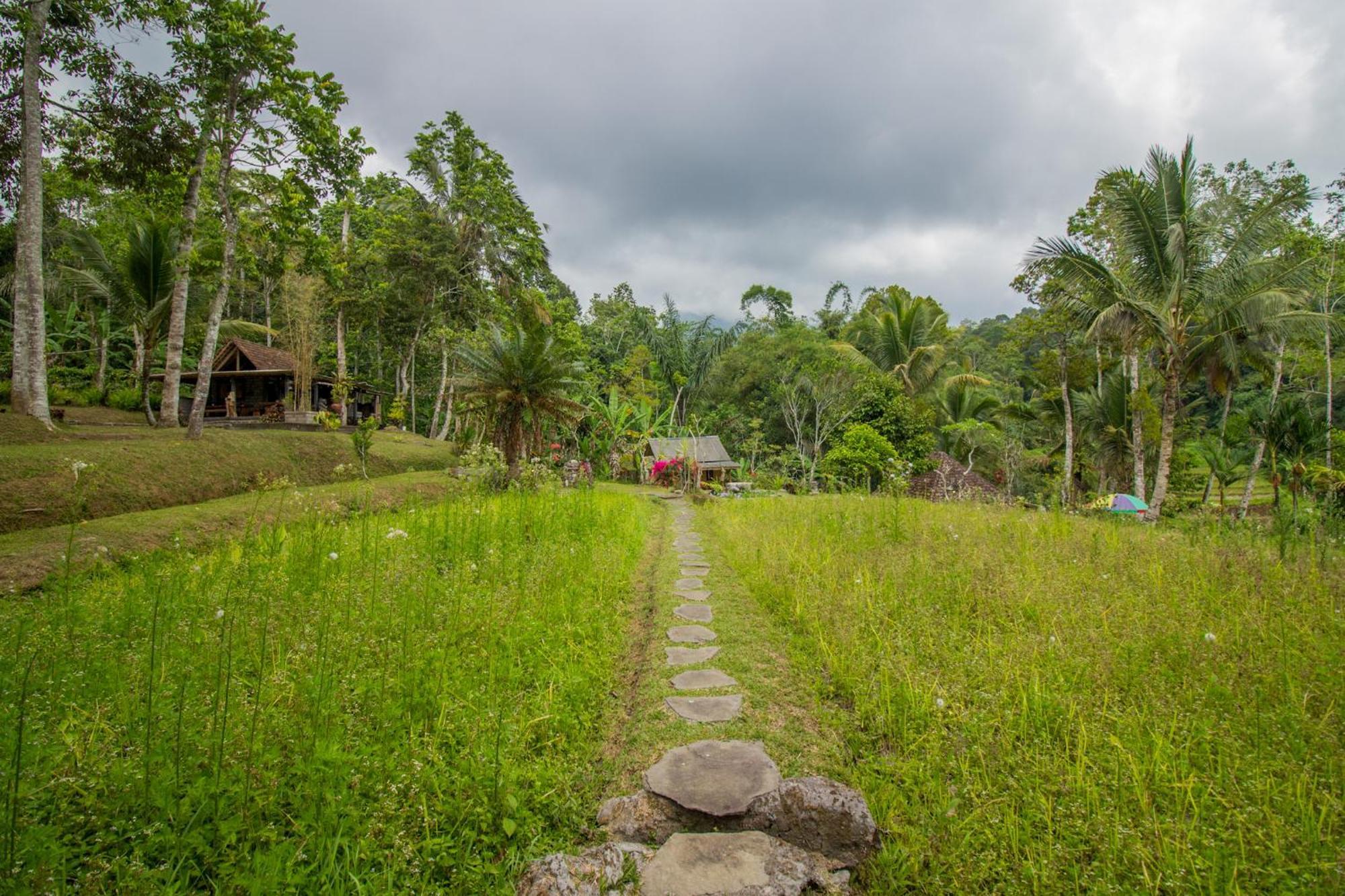 Pesona Bali Ecolodge By Agata Jatiluwih Ngoại thất bức ảnh